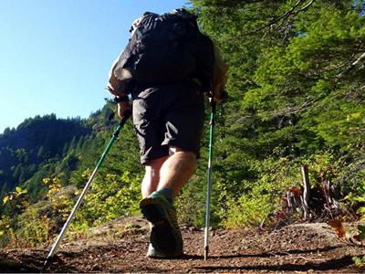 Tadiandamol Trek Coorg image