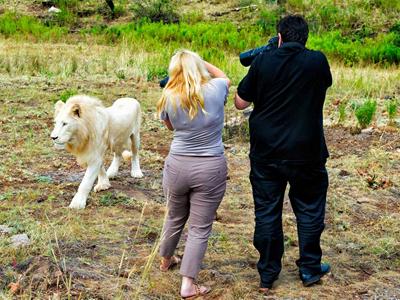 Wildlife Photography Workshop for Beginners – Bangalore image