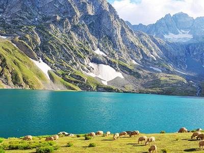 Kashmir Great Lakes Trek image