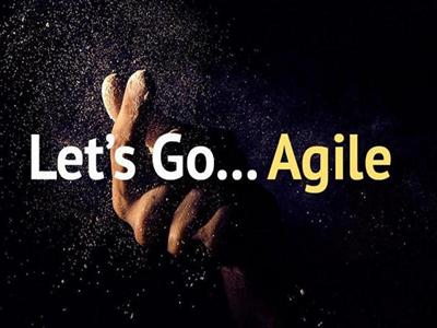 Technical Agility Workshop for Enterprise Change Agents and Leaders,  image
