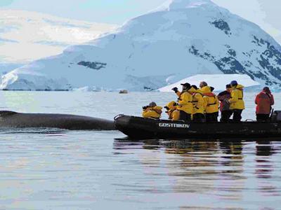 Antarctica & Buenos Aires image