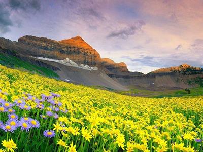 Valley of Flowers Trek image