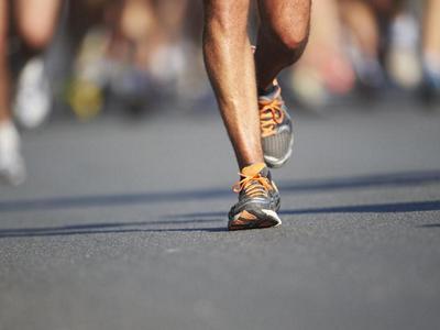 The Bedgebury Pinetum Canicross Summer 5k Series Race Three image