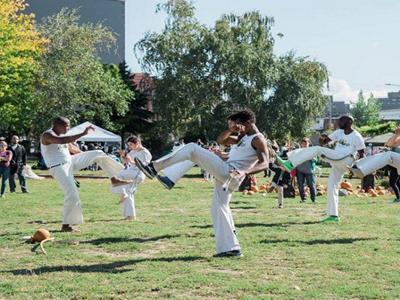Capoeira for Beginners image