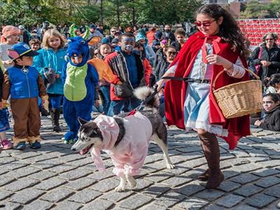 Halloween Harvest Festival image