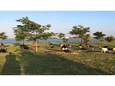 Yoga in the Park image
