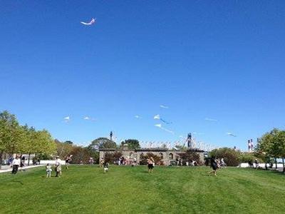 Kite Flight for Peace image