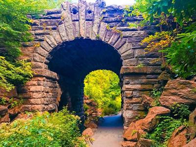 Secret Places in Central Park Walking Tour image