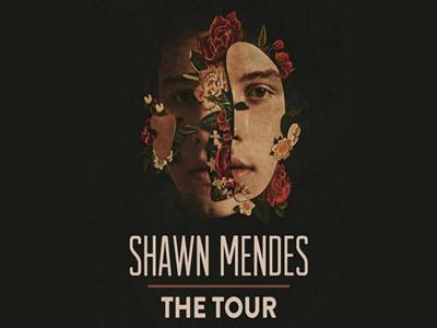Shawn Mendes at The O2 arena image
