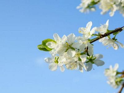 Mindfulness for Stress: 8 week course image