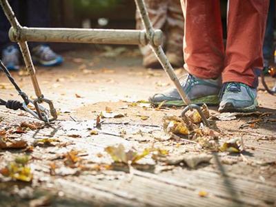 Go Ape Trent Park image