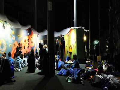 BedBUGS Sleepovers image