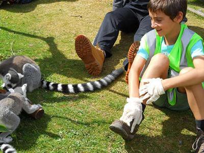 Junior Zoo Academy (8-10 years old) image