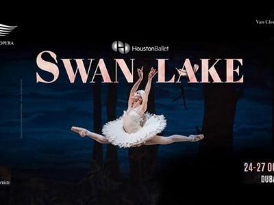Swan Lake image