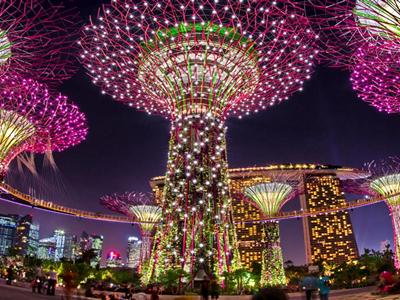 Gardens by the Bay Package  (includes 1 Day Hopper®Pass PLUS Admission ticket to Sands SkyPark & Cloud Forest & Flower Dome) image