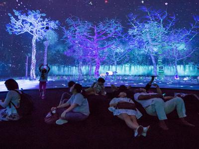 Story+of+the+Forest+AT+singapore+national+museum image 