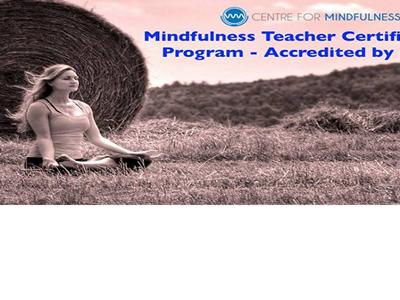 Mindfulness Teacher Certification Program image