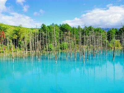 Best of Hokkaido Biei Scenic Cycling (Summer Dep) image