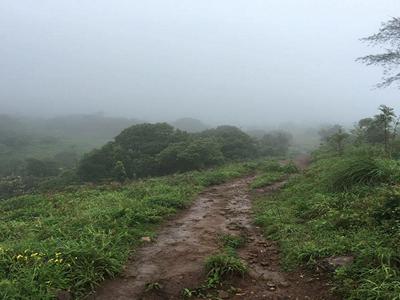 Trek to Tadiyandmol, Chomakund and Kabbe Hills image