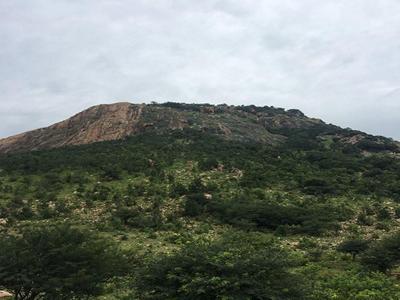 Trek to Makalidurga Hill! image