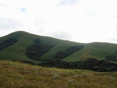 Trek to Brahmagiri! image
