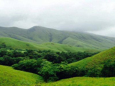 Trek to Kudremukha Peak! image