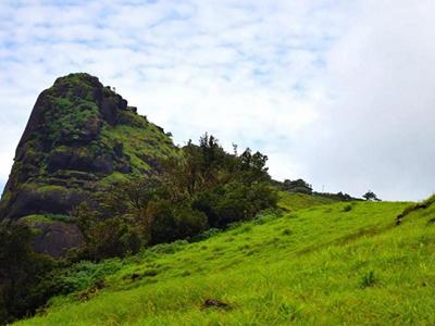 Trek to Kurinjal Peak! image