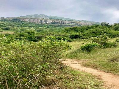 Trek to Skandagiri! image
