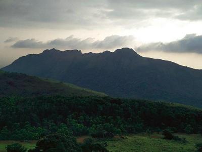 13 Motta Peak Trek in Trivandrum: Dec 15-16 2018 image