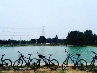 Independence Day cycling (100 kms) and open water swimming image