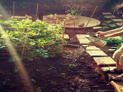 Gardening Club For Kids image