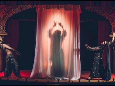 The Bellydancers, Students Showcase for Charity image