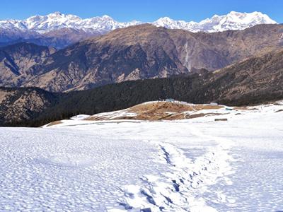 Chopta Chandrashila Trek - Himalayas image