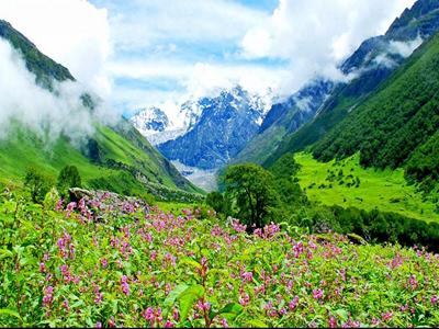 Valley of Flowers Trek image