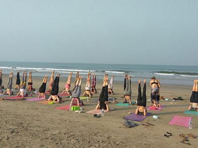Ashtanga Yoga Teacher Training Goa image