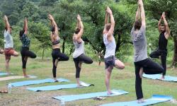 200-hour+Yoga+Teacher+Training+in+Rishikesh+India image