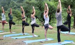 200-hour Yoga Teacher Training in Rishikesh India image