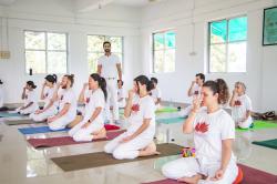 Immersive+Hatha+Yoga+Teacher+Training+%28200-hour+YTTC%29+in+India image